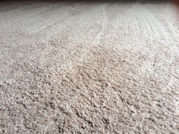 Plush Carpet Installation in North Tonawanda