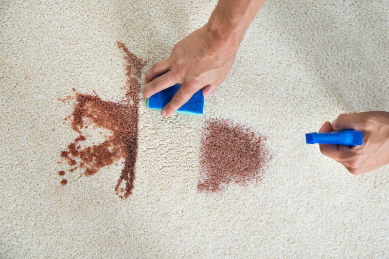 Stain and Spot Removal