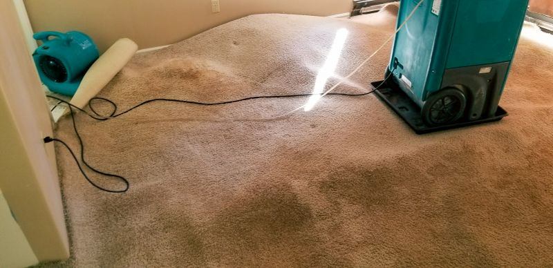 Carpet Drying Process