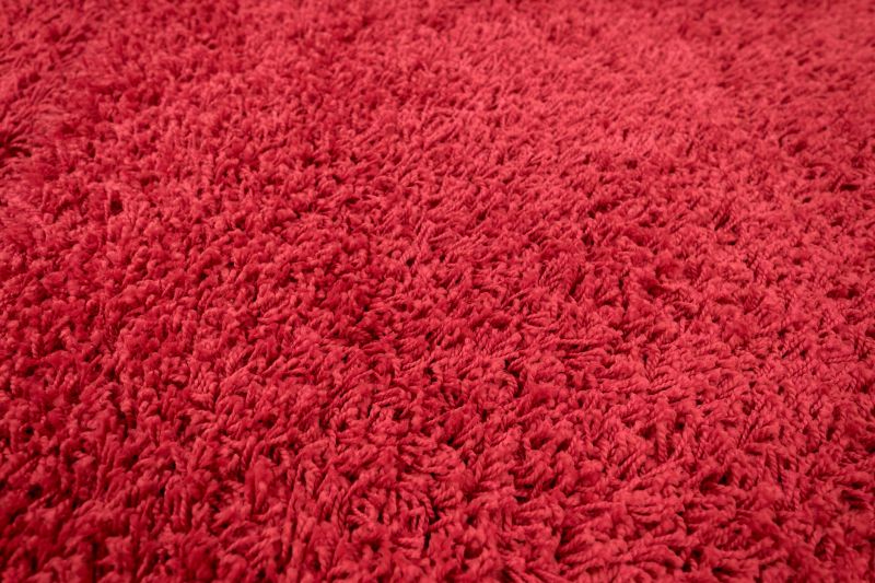 Close-up of Clean Carpet Fibers