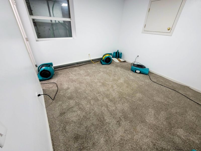 Emergency Carpet Cleaning Services